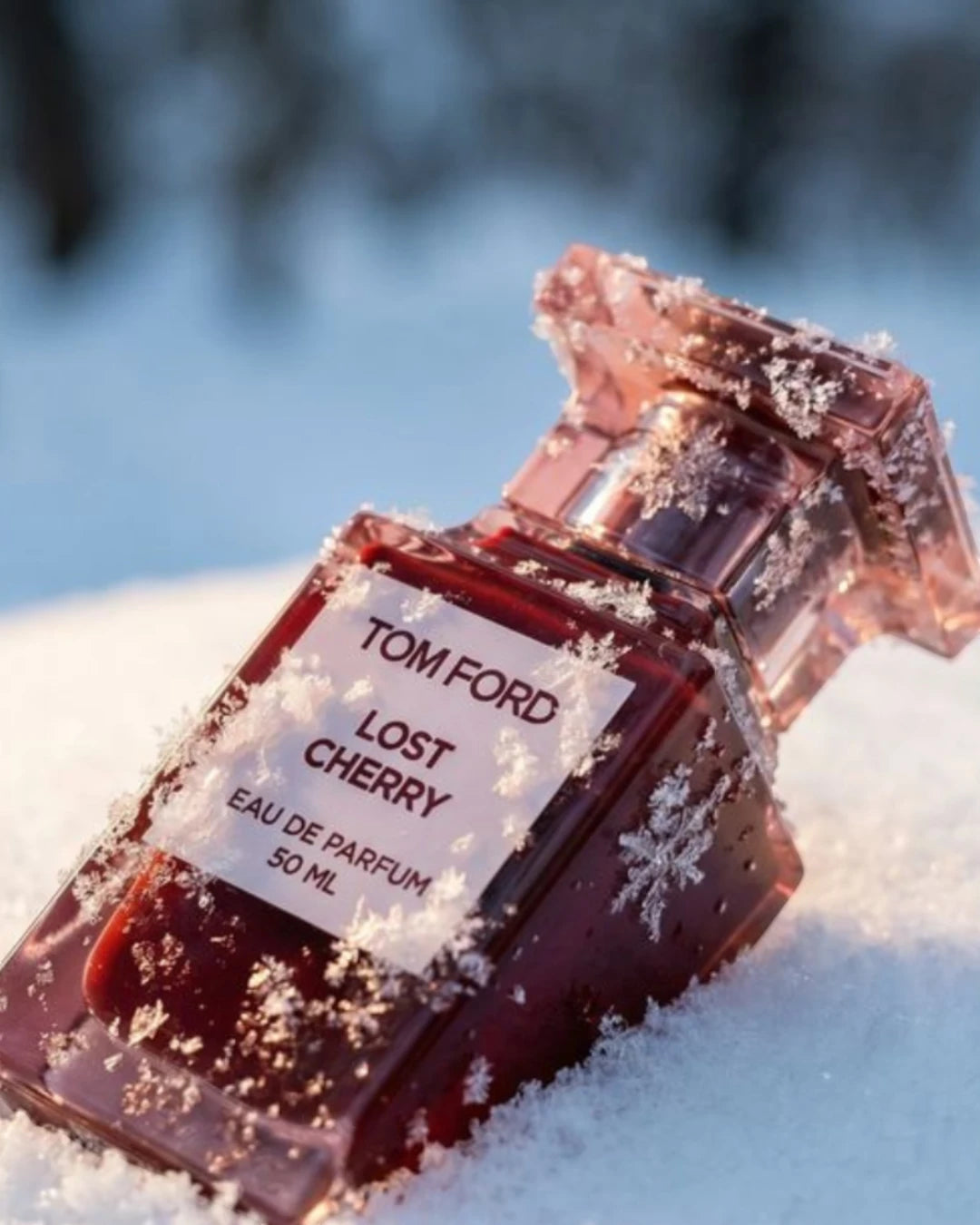 Llego el invierno: hasta 20% de descuento