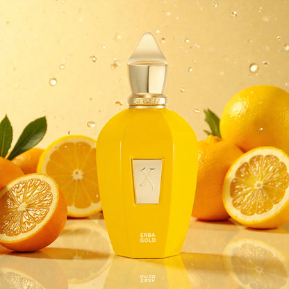 Decants de Xerjoff - Erba Gold original Chile | DecantsTalca